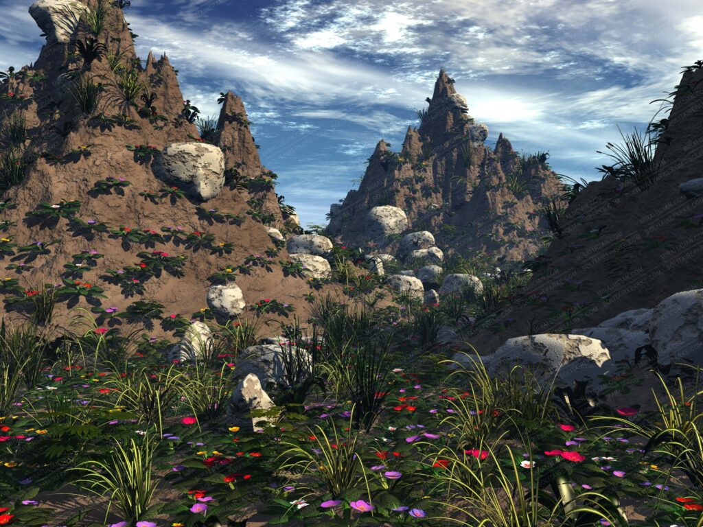 desert flowers 1 scaled